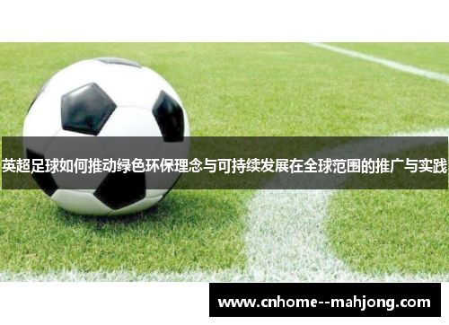 英超足球如何推动绿色环保理念与可持续发展在全球范围的推广与实践