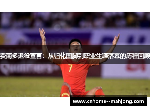 费南多退役宣言：从归化国脚到职业生涯落幕的历程回顾