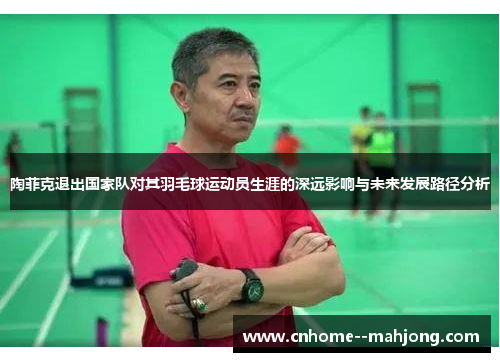 陶菲克退出国家队对其羽毛球运动员生涯的深远影响与未来发展路径分析 陶菲克退出国家队对其羽毛球运动员生涯的深远影响与未来发展路径分析