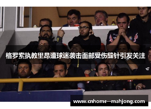 格罗索执教里昂遭球迷袭击面部受伤缝针引发关注