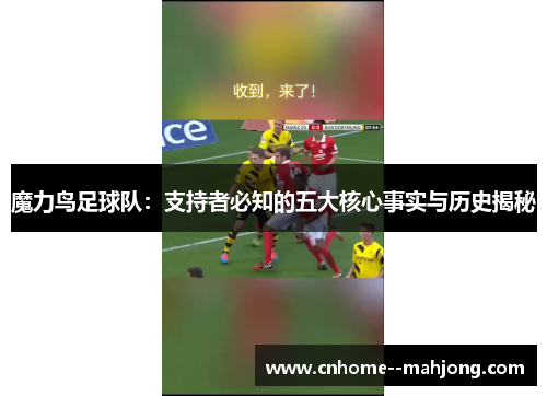 魔力鸟足球队：支持者必知的五大核心事实与历史揭秘